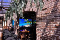 nicks-greenhouse-and-jumbotron